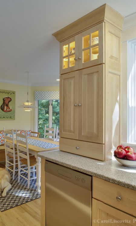 A kitchen with a dog sitting on the floor