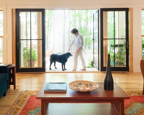 A woman and her dog in the living room.