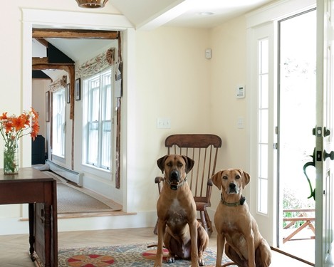 Two dogs sitting on a rug in front of a door.